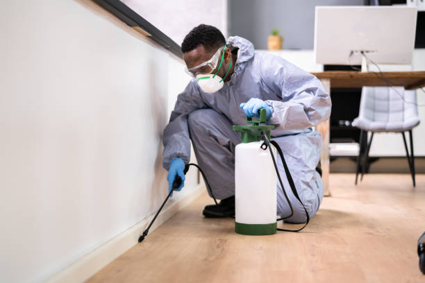 Best Pest Control for Hotels  in Dover, NJ